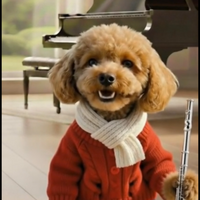 나답게 카르페디엠