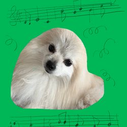 악보그리는옴마