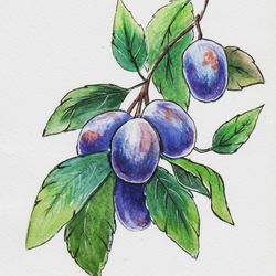 prune