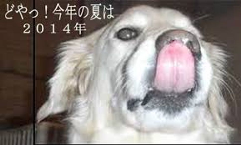 ライバル
