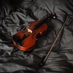 violin