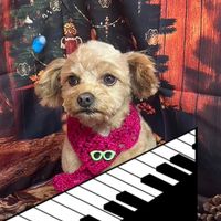 かおるんぴあの