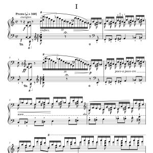 Liszt - Transcendental Études No.1~12 (30%)