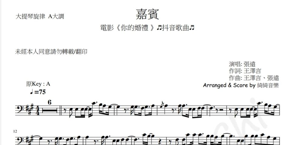 (抖音歌曲)嘉賓