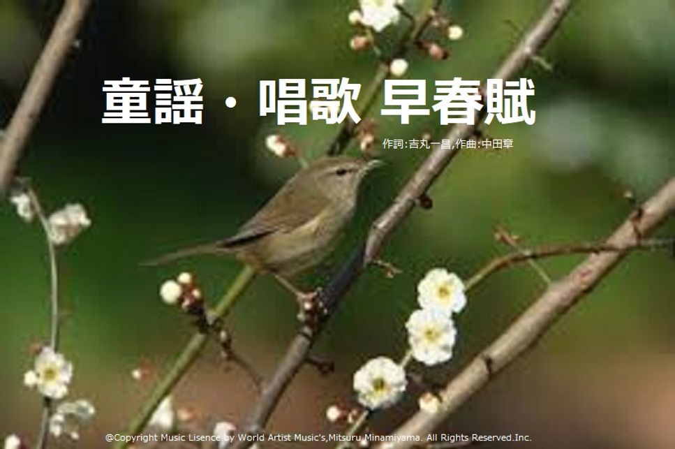作詞：吉丸 一昌. 作曲：中田 章 早春賦 (P.D 作詞：吉丸 一昌. 作曲：中田 章) 楽譜 by MitsuruMinamiyama