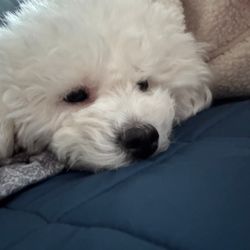김멍서진