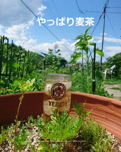 T-SQUARE 夏の蜃気楼 +MP3サウンド