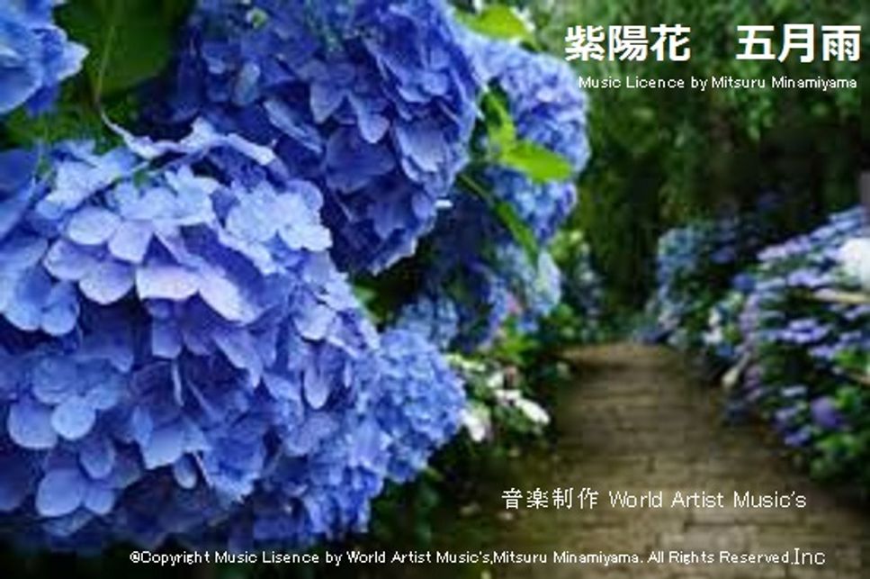 誰かの願いが叶うころ