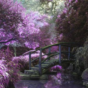 Sleep Token: Even in Arcadia 50 % off