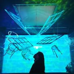 피아노치는 곰탱탱