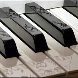 피아노치는단비