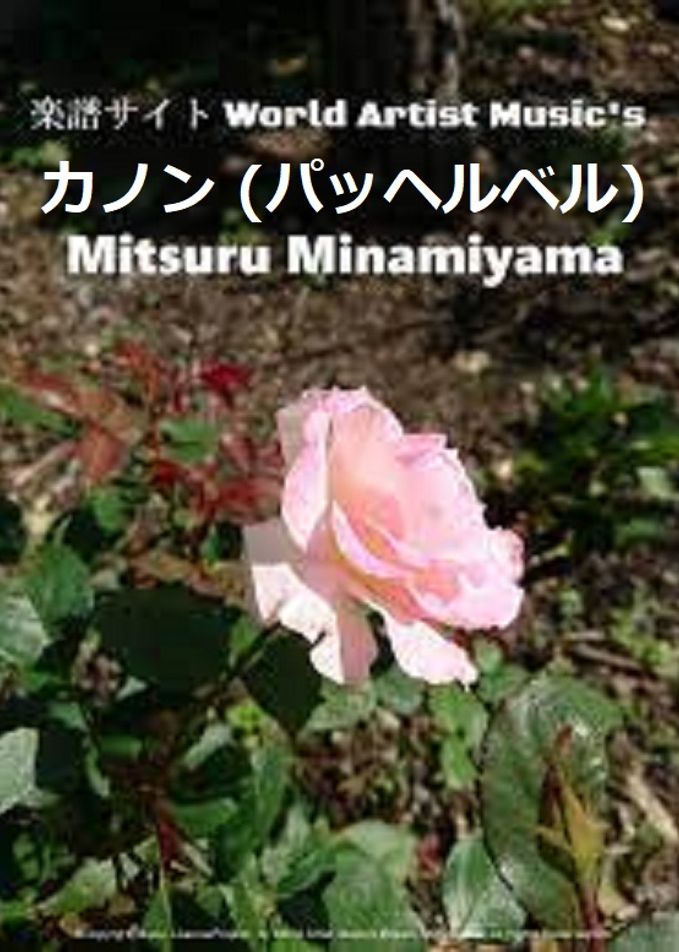 君恋し