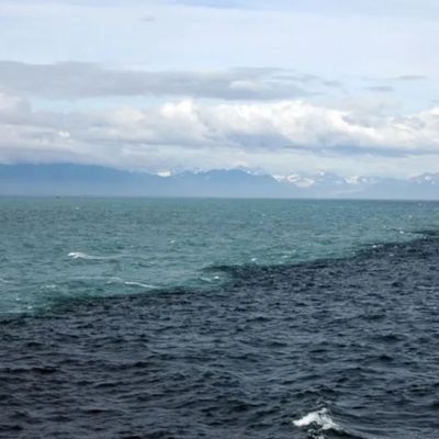 Firdhaus - Gulf of Alaska