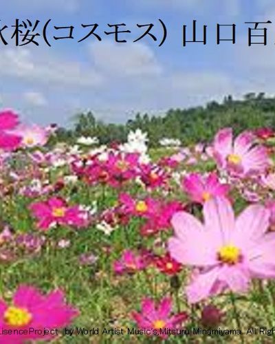 山口百恵 秋桜 +mp3サウンド　フルスコア