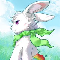 Rabbit Pianist popularity | mymusic5