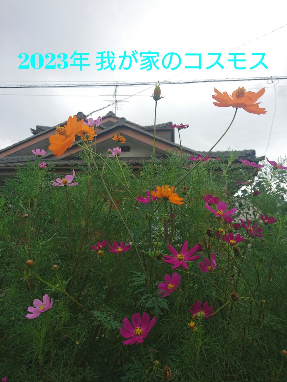ドラえもんえかきうた