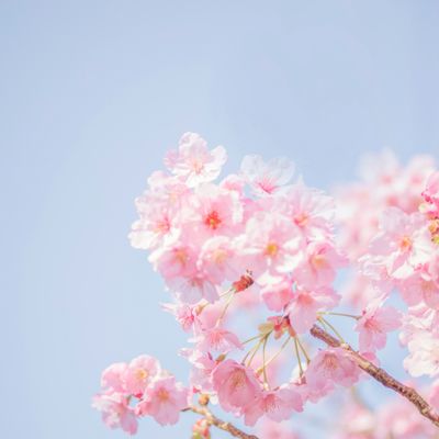 今どきの卒業ソング
