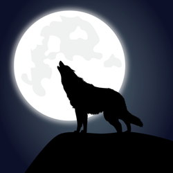 MUSIC WOLF