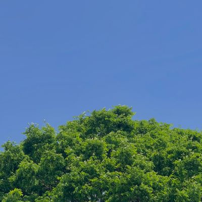 축복송 반주법 4개 모음