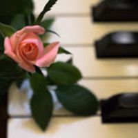 Rosa Piano