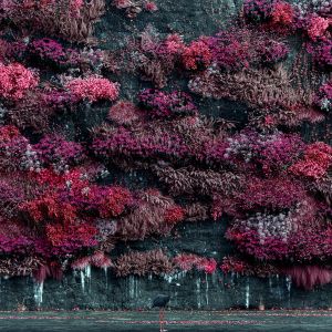 Sleep Token's Even In Arcadia