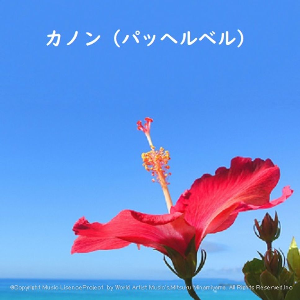 小沢健二. ラブリー+MP3サウンド付き