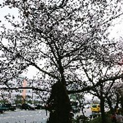 도란♡