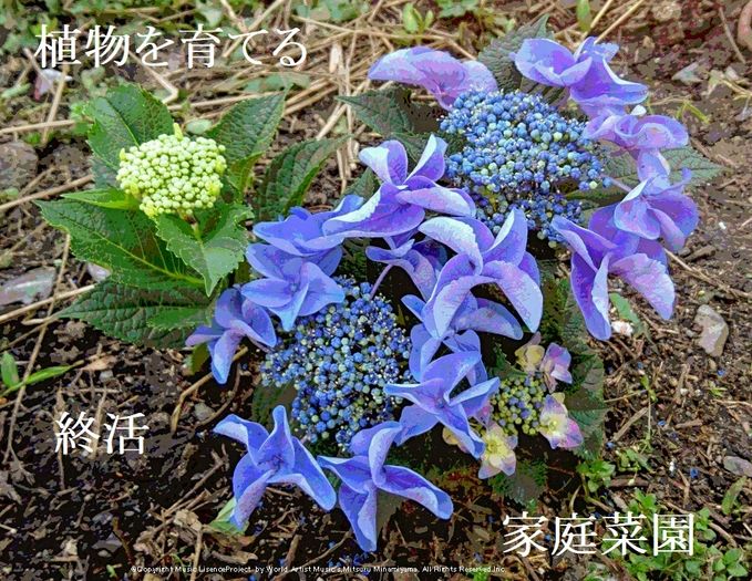 ロードオブメジャー　大切なもの+Mp3サウンド付き フルスコア