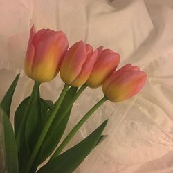 리이버 프로필 이미지