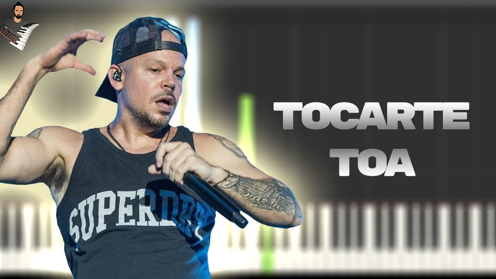 Calle 13 - Tocarte toa