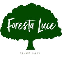 Foresta Luce