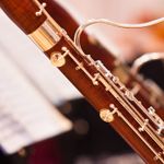 bassoon