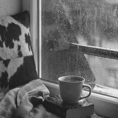 비오는 날 컬렉션