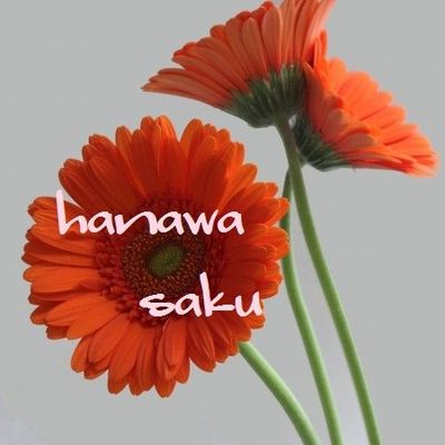 hana wa saku project