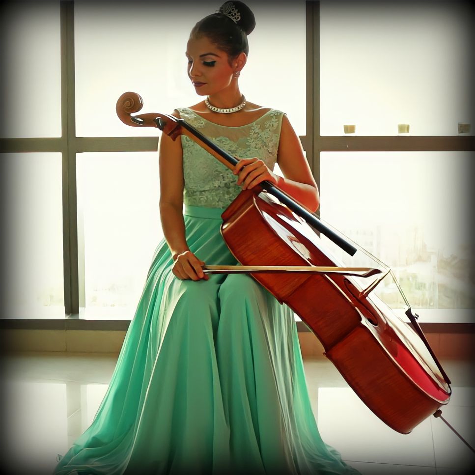 Can You Feel The Love Tonight - Cello & Piano
