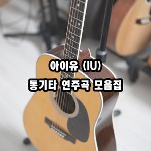 아이유 - 연주곡 모음집~!!^^