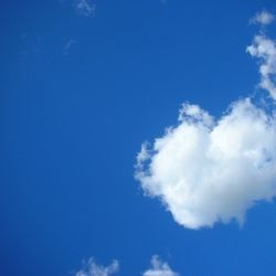 시작은미약하지만나중은창대하리라