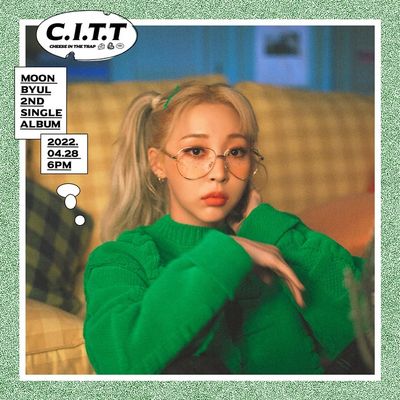 C.I.T.T Sheet