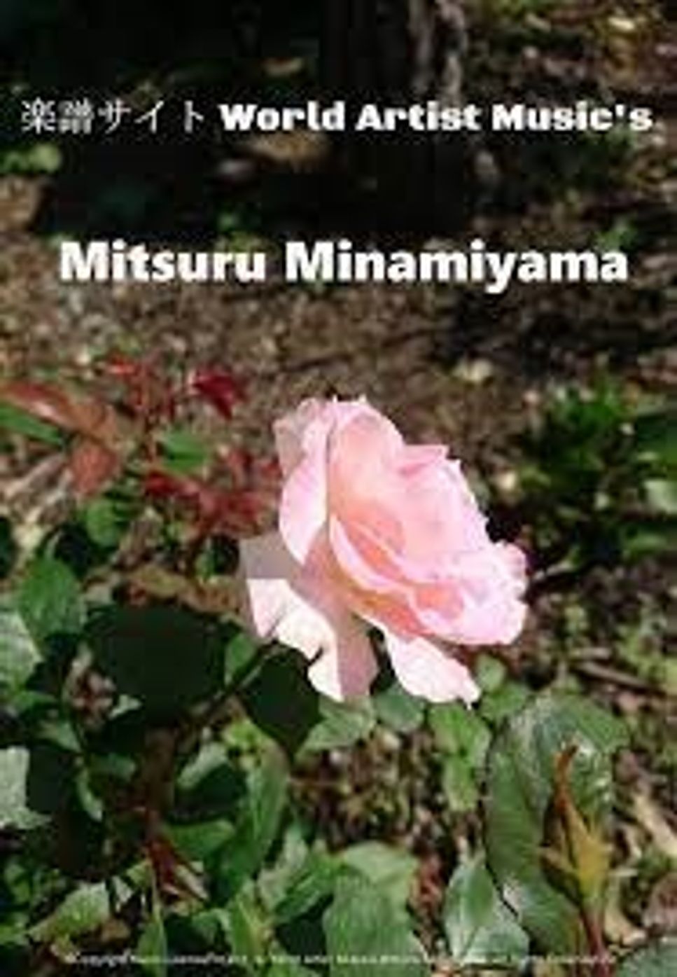 歌手：MISIA 　作詞：島野聡. 作曲：島野聡 - つつみ込むように by Mitsuru Minamiyama