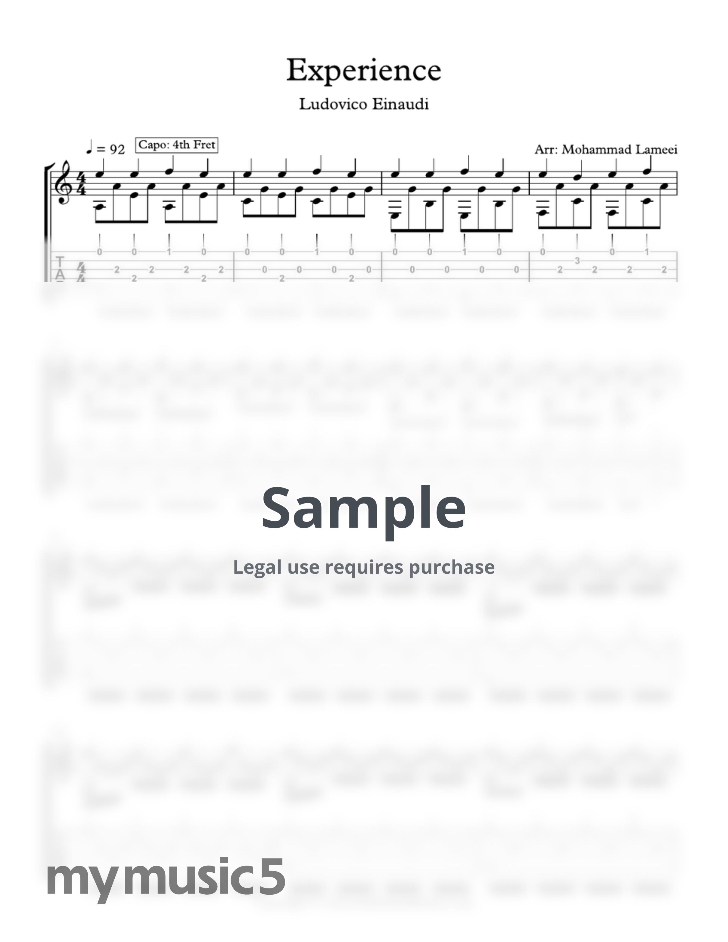 Ludovico Einaudi - Experience by Mohammad Lameei