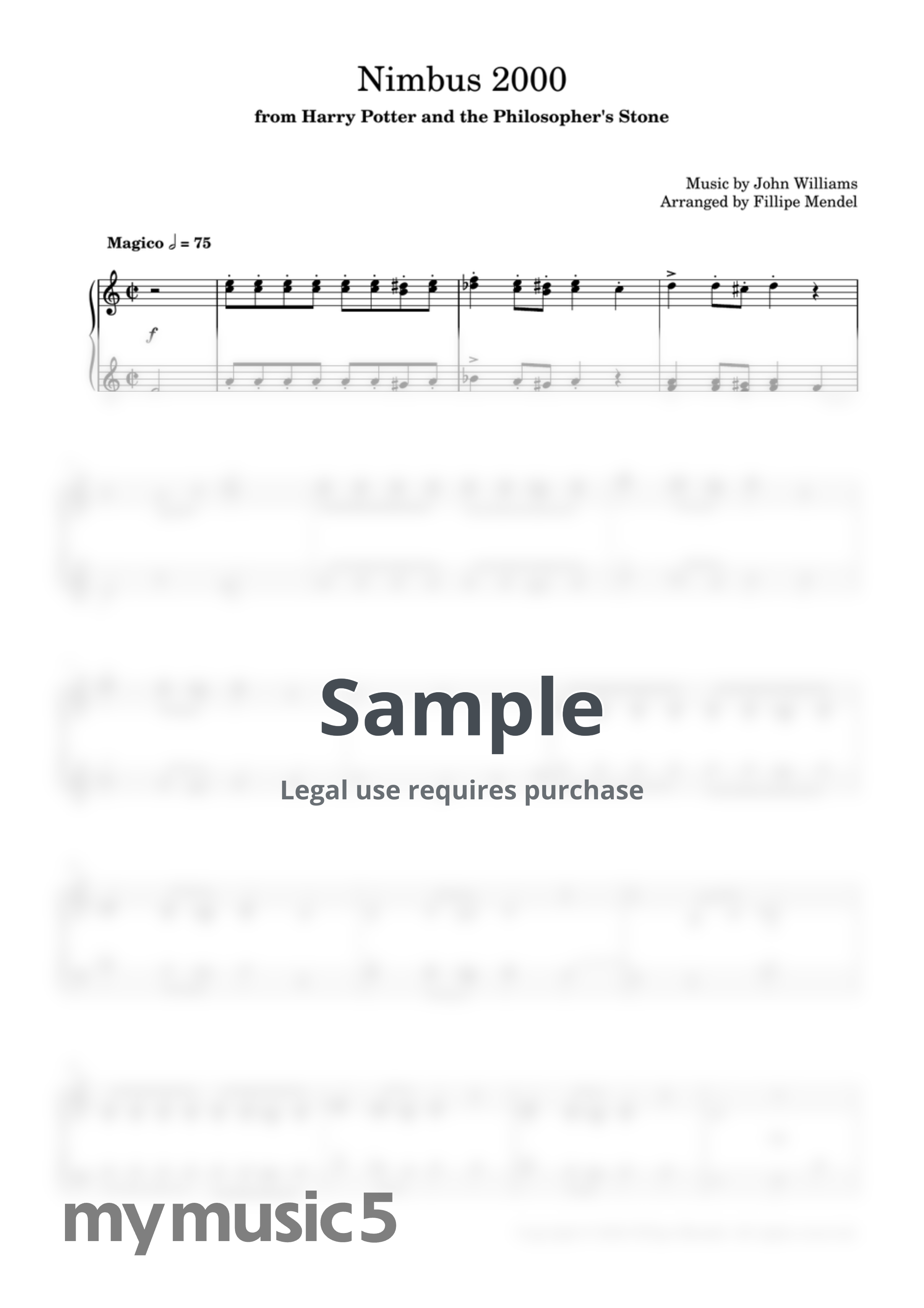 John Williams - Nimbus 2000 by Fillipe Mendel