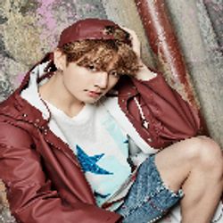 민슈가와호비